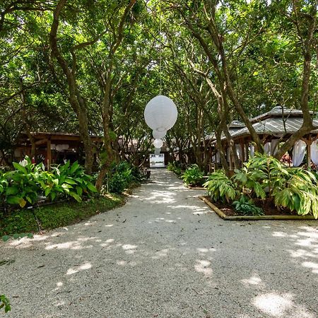 Magical Wonderkoi House In A Japanese Koi Garden Villa Miami Kültér fotó