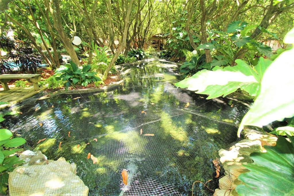 Magical Wonderkoi House In A Japanese Koi Garden Villa Miami Kültér fotó